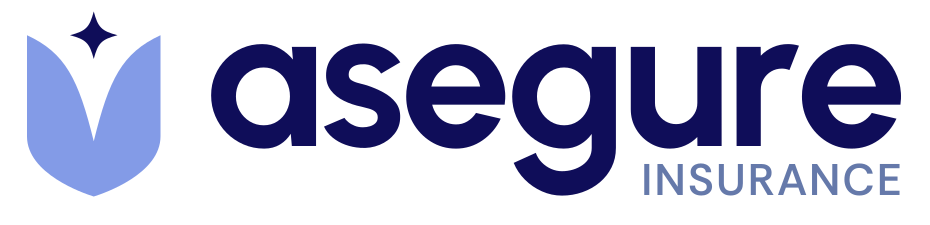 Asegure Insurance